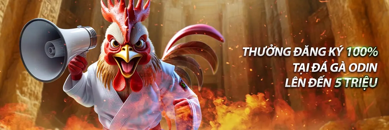 Hình ảnh đại diện cho dịch vụ hỗ trợ khách hàng của Oklavip